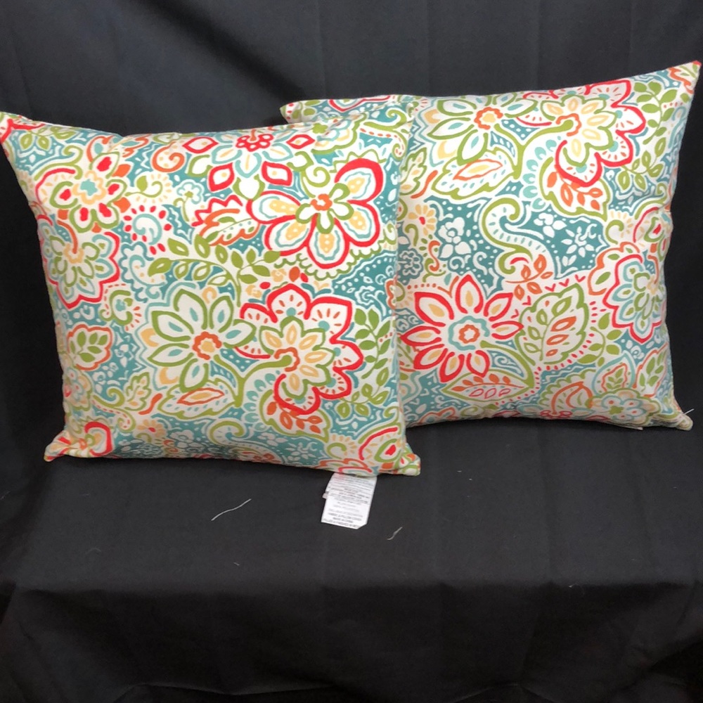 Decorative Pillows 1 set of 2